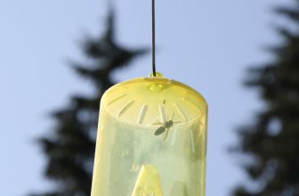 Milieuvriendelijke fruitvliegenvallen: Bescherm uw producten zonder schadelijke chemicaliën